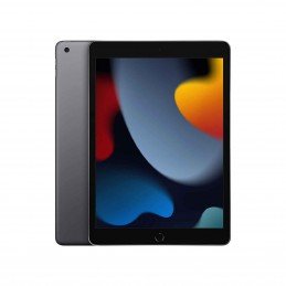 APPLE IPAD 9TH GEN 256GB | WI-FI